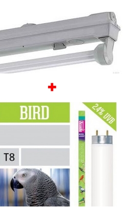 UV-Leuchtstoffröhren ▻ UV-Leuchtstofflampen für Vögel kaufen
